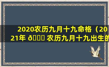 2020农历九月十九命格（2021年 🍀 农历九月十九出生的宝宝五行缺什么）